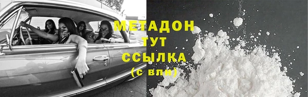 гашик Алексин