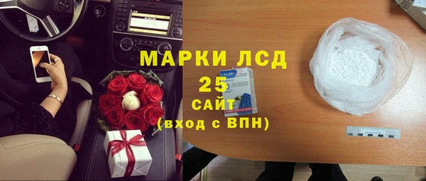 гашик Алексин