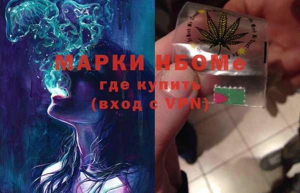 гашик Алексин