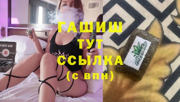 гашик Алексин