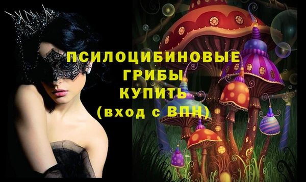мяу мяу мука Алзамай