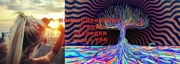 мяу мяу мука Алзамай