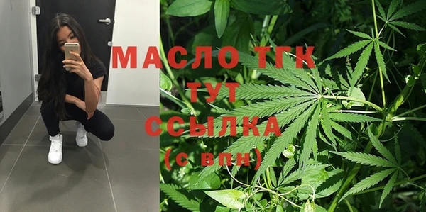 гашик Алексин