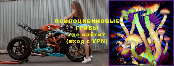 гашик Алексин