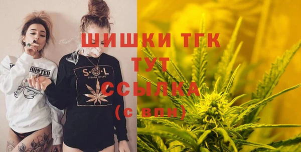 гашик Алексин